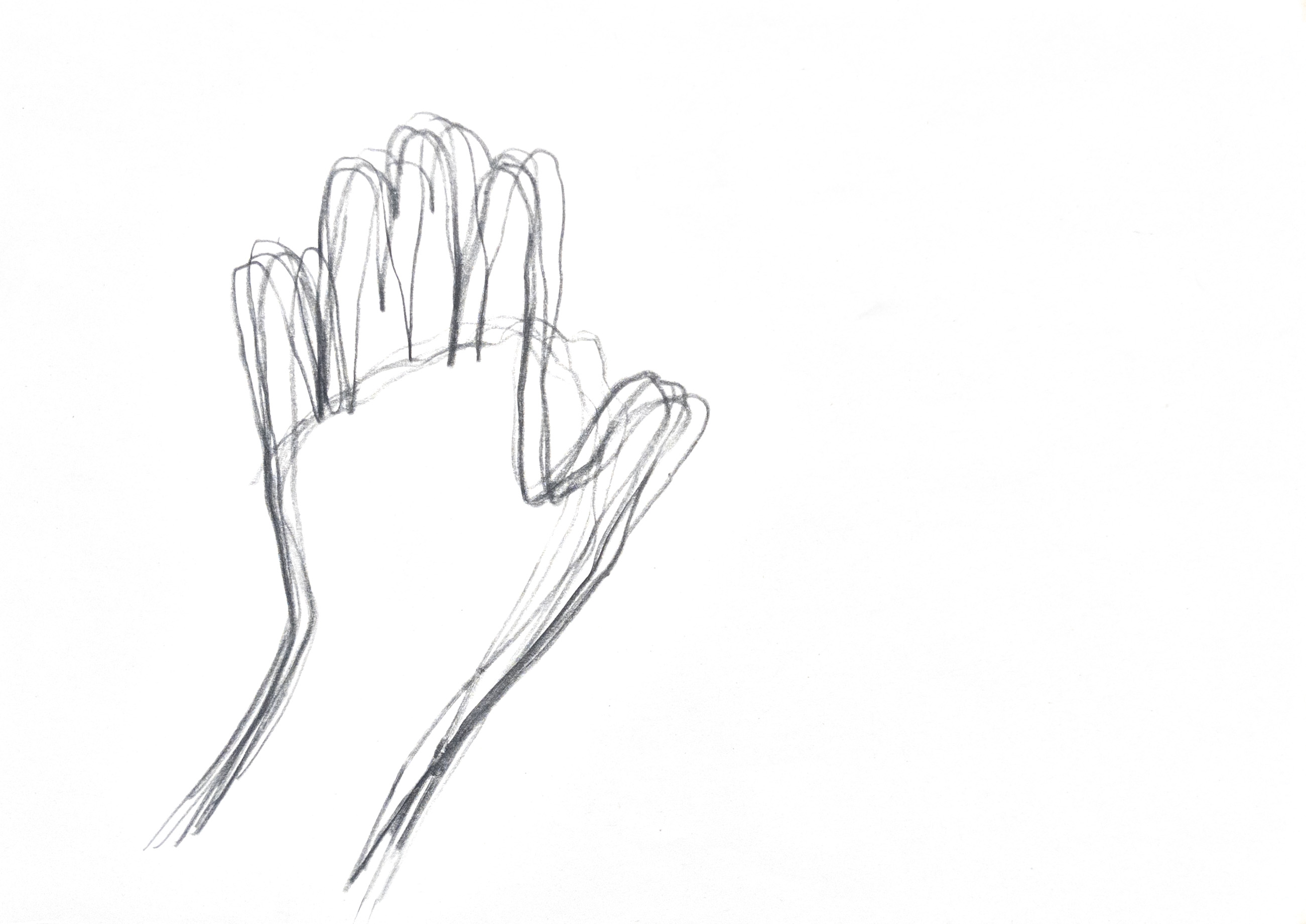 outlined drawing of a hand